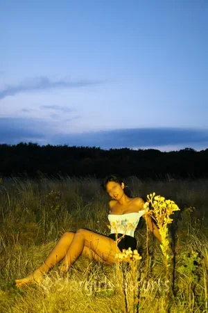 Zelda Fox Escort